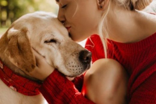 Best Gifts for Pet Lovers