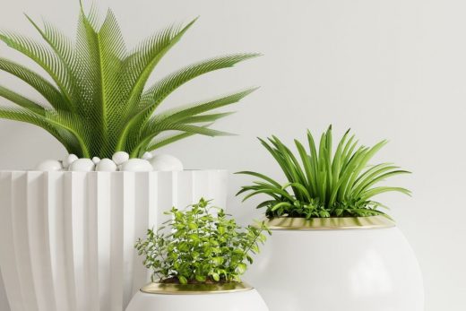 Gorgeous Indoor Plants That Are Almost Impossible to Kill
