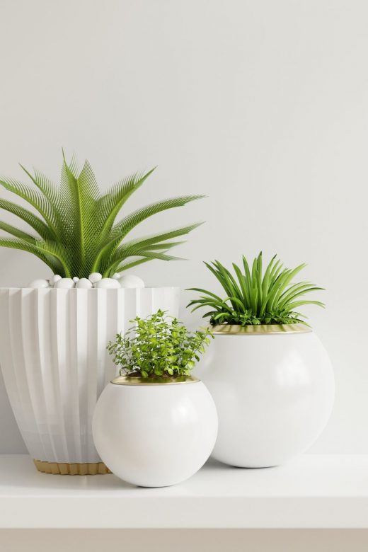 Gorgeous Indoor Plants That Are Almost Impossible to Kill